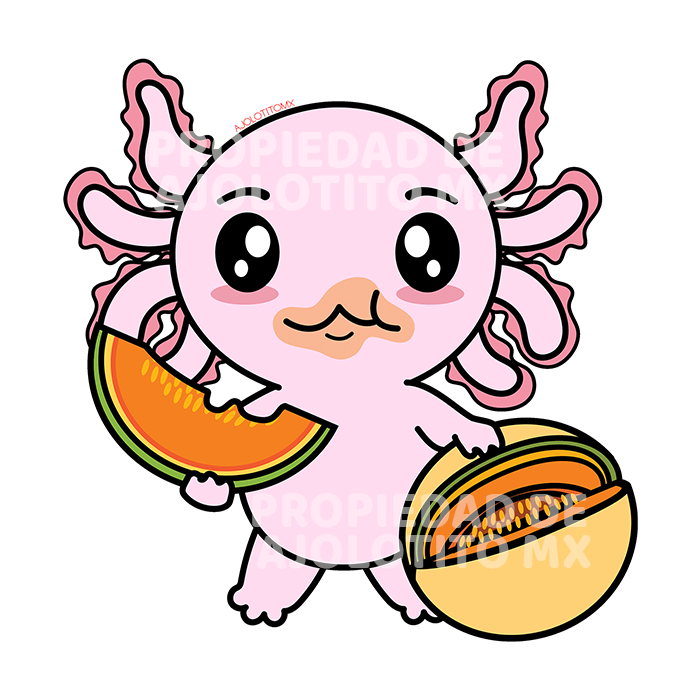 Sticker Axoloteria El Melón Ajolote