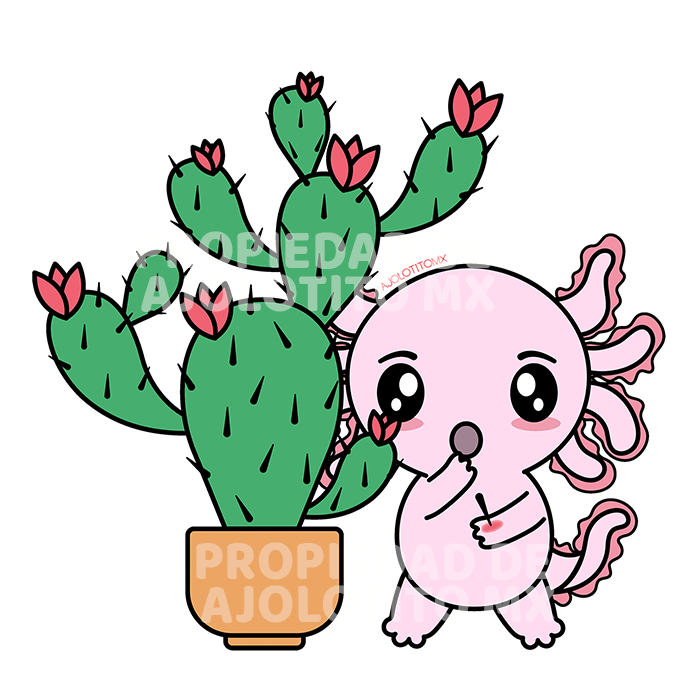 Sticker Axoloteria El Nopal Ajolote