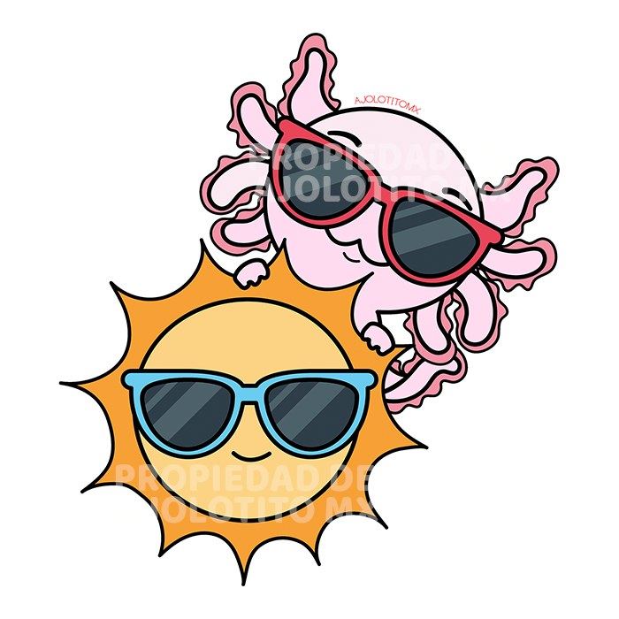Sticker Axoloteria El Sol Ajolote