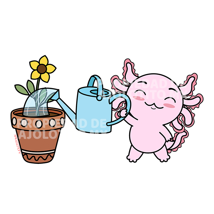 Sticker Axoloteria La Maceta Ajolote