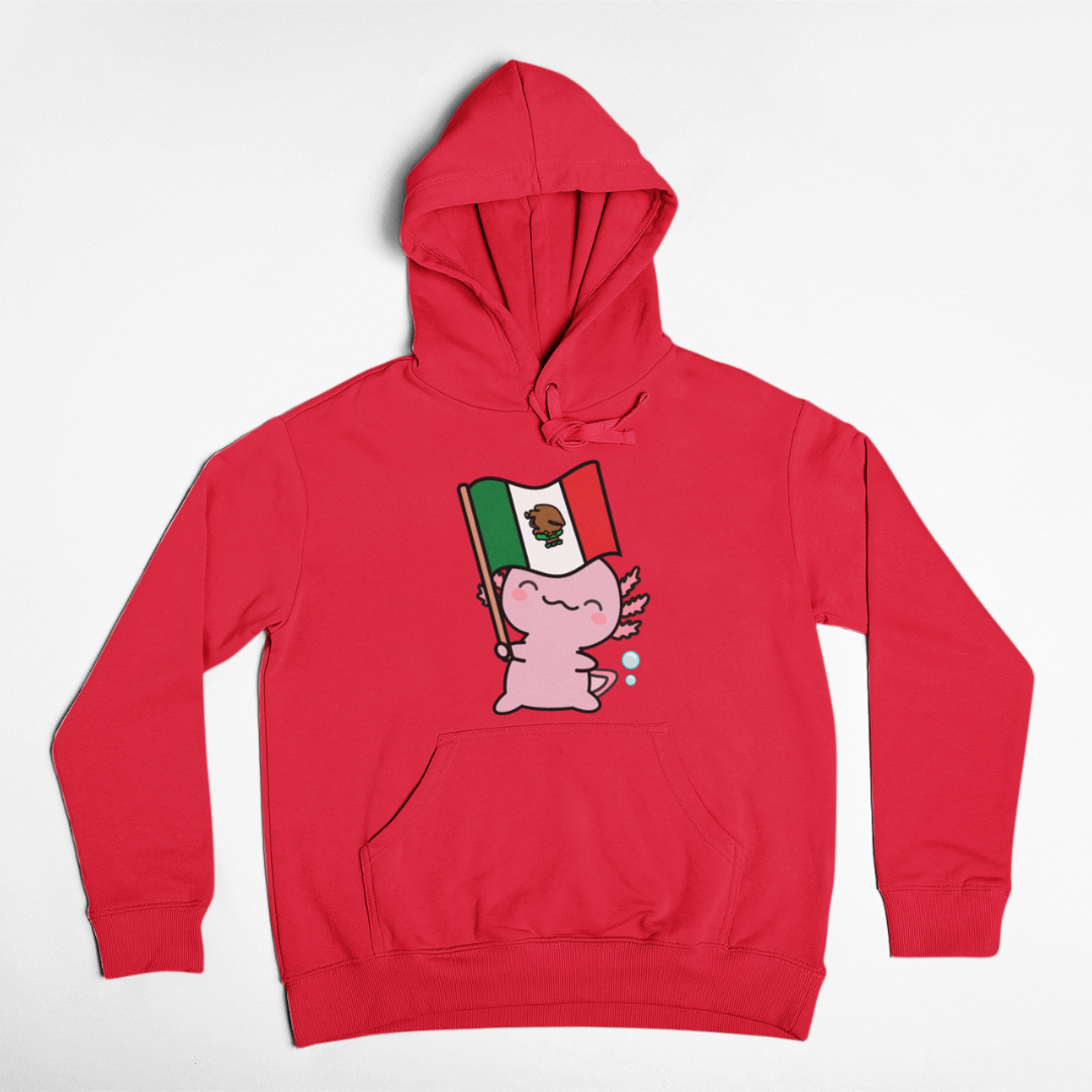 Hoodie Ajolote Y Su Bandera Xo The Monster