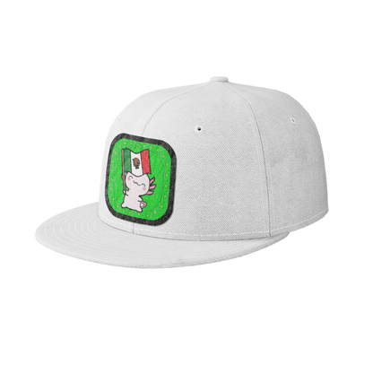 Gorra Unisex Plana Ajolote Y Su Bandera Xo The Monster
