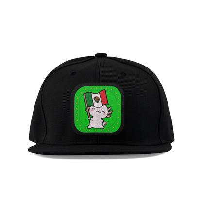 Gorra Unisex Plana Ajolote Y Su Bandera Xo The Monster