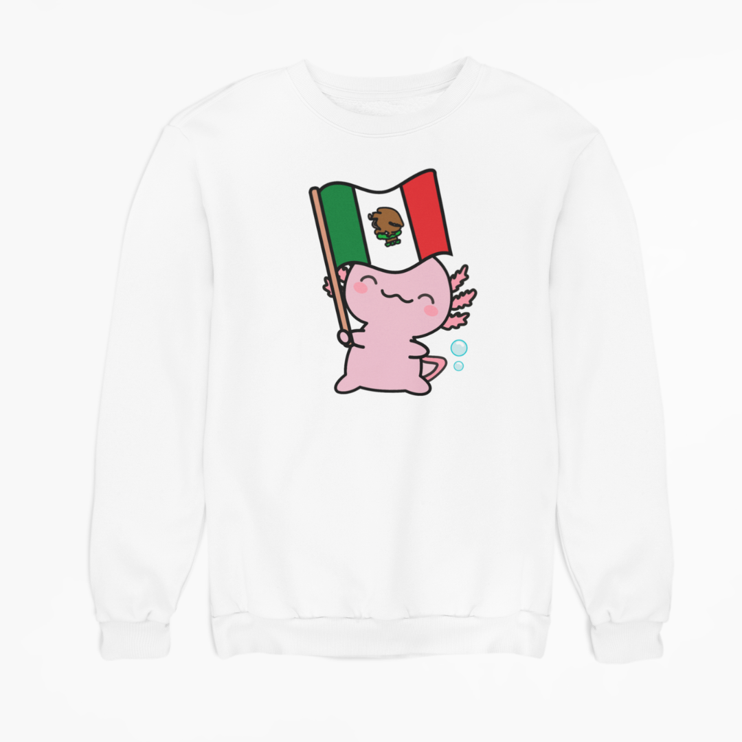 Sudadera Ajolote Y Su Bandera Xo The Monster