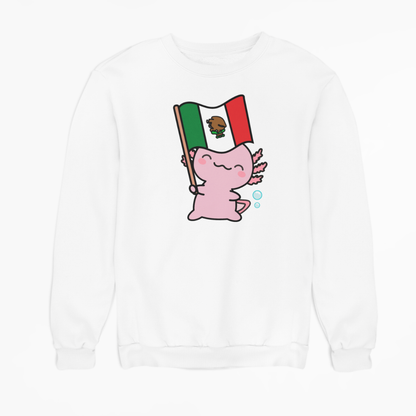 Sudadera Ajolote Y Su Bandera Xo The Monster