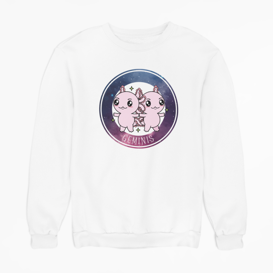 Sudadera Axolotzin Horóscopos Galaxy Geminis Ajolote Unisex