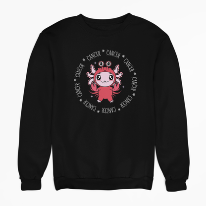 Sudadera Axolotzin Horóscopos Aro Cancer Ajolote Unisex