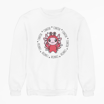 Sudadera Axolotzin Horóscopos Aro Cancer Ajolote Unisex