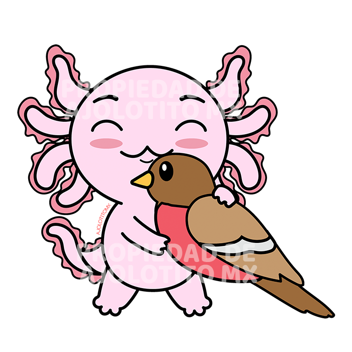 Sticker Axoloteria El Pájaro Ajolote