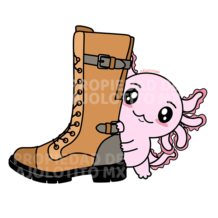 Sticker Axoloteria La Bota Ajolote