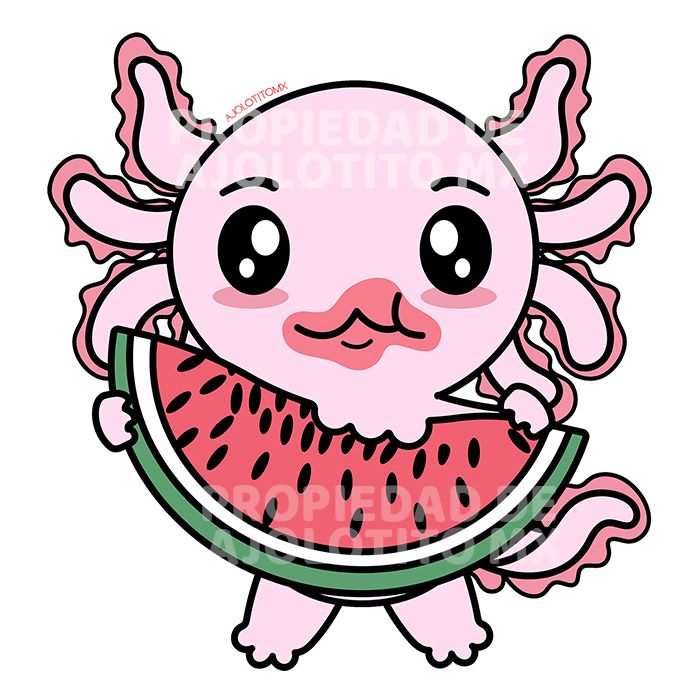 Sticker Axoloteria La Sandía Ajolote
