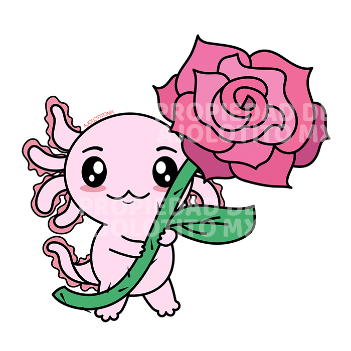 Sticker Axoloteria La Rosa Ajolote