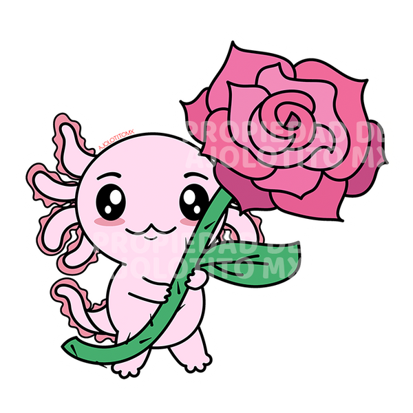 Sticker Axoloteria La Rosa Ajolote