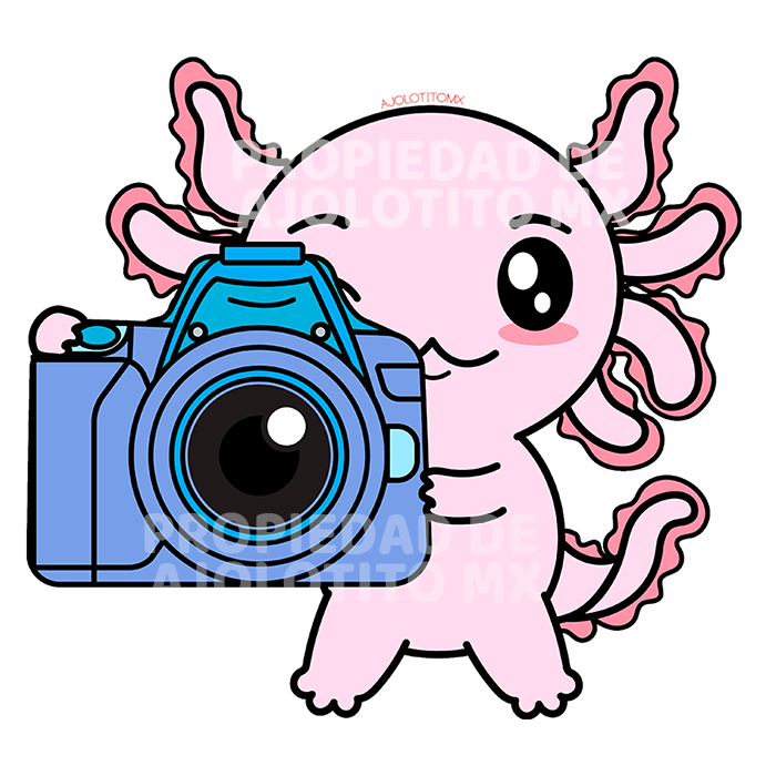 Sticker Axolotzin Fotografo Ajolote
