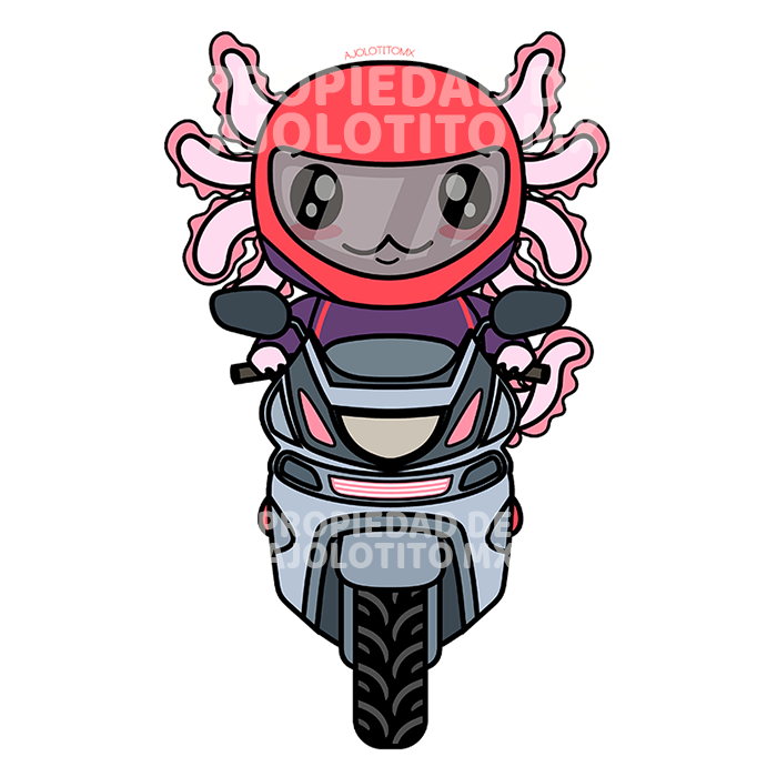 Sticker Axolotzin Motoneta Ajolote