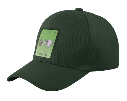 Gorra Unisex Curva Axoloteria La Maceta Ajolote