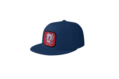 Gorra Unisex Plana Axolotzin Boxeador