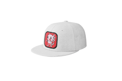 Gorra Unisex Plana Axolotzin Boxeador