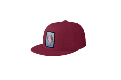 Gorra Unisex Plana Axoloteria El Cotorro Ajolote