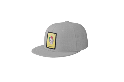 Gorra Unisex Plana Axoloteria La Bandera Ajolote