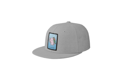 Gorra Unisex Plana Axoloteria El Cotorro Ajolote