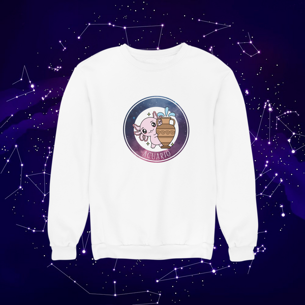 Sudadera Axolotzin Horóscopos Galaxy Acuario Ajolote Unisex