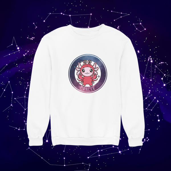 Sudadera Axolotzin Horóscopos Galaxy Cancer Ajolote Unisex