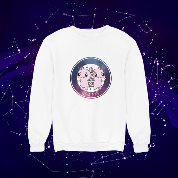 Sudadera Axolotzin Horóscopos Galaxy Geminis Ajolote Unisex