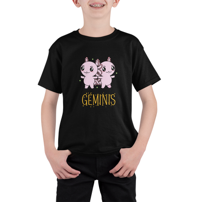 Playera Axolotzin Horoscopos Nombre Geminis Ajolote Adulto E Infantil