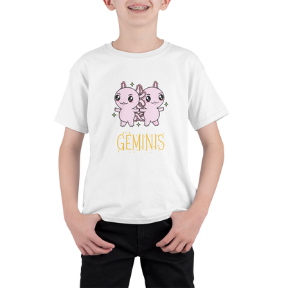 Playera Axolotzin Horoscopos Nombre Geminis Ajolote Adulto E Infantil