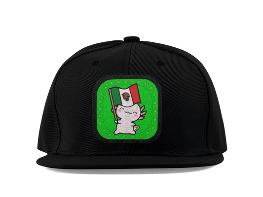 Gorra Unisex Plana Ajolote Y Su Bandera Xo The Monster