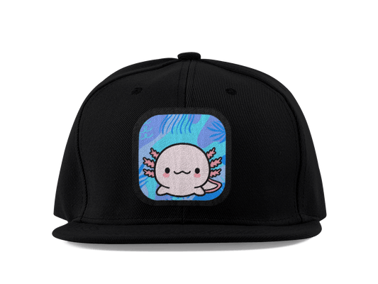 Gorra  Plana