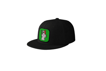 Gorra Unisex Plana Ajolote Y Su Bandera Xo The Monster